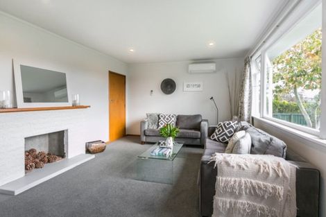 Photo of property in 808 Matai Street, Raureka, Hastings, 4120