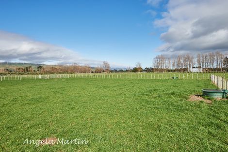 Photo of property in 1334 Napier Road, Ashhurst, 4810