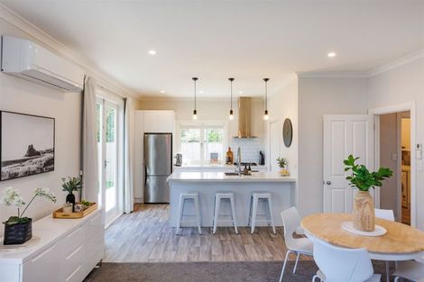 Photo of property in 101 Limbrick Street, Terrace End, Palmerston North, 4410