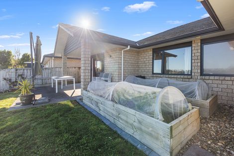 Photo of property in 48 Ihimaera Terrace, Leamington, Cambridge, 3432