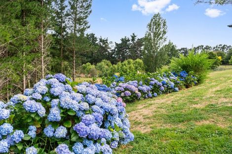 Photo of property in 117 Lees Pakaraka Road, Te Ore Ore, Masterton, 5886