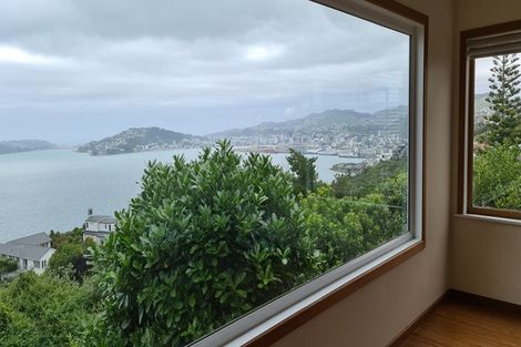 Photo of property in 17 Ravi Street, Khandallah, Wellington, 6035