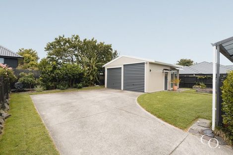 Photo of property in 13 Bristol Avenue, Brookfield, Tauranga, 3110