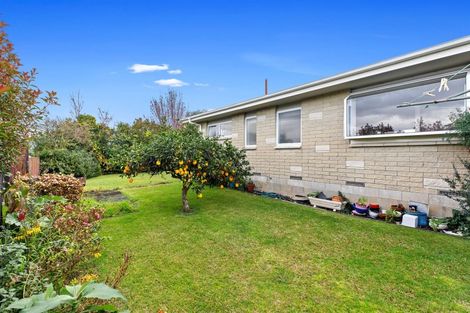 Photo of property in 24a Hall Road, Matua, Tauranga, 3110