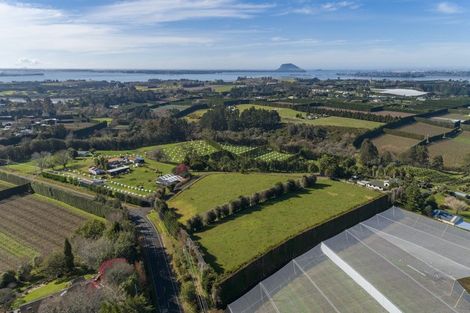 Photo of property in 198b Snodgrass Road, Te Puna, Whakamarama, 3174