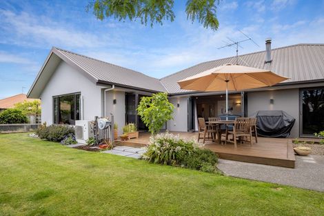 Photo of property in 38 Elmwood Avenue, Witherlea, Blenheim, 7201