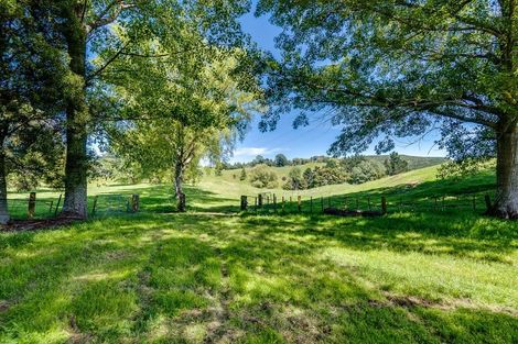 Photo of property in 25 Kakariki Farm Road, Kotemaori, 4188