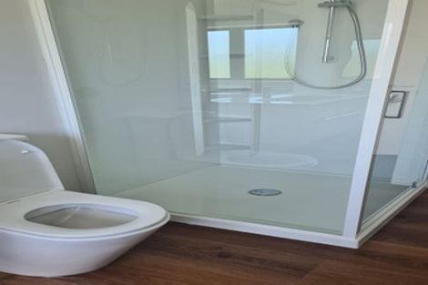 Photo of property in 1a Woodward Street, Featherston, 5710