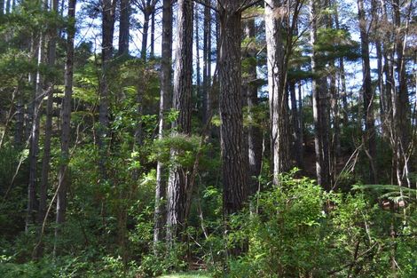 Photo of property in 478 Port Charles Road, Waikawau, Coromandel, 3584