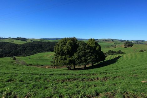 Photo of property in 58 Munns Road, Raglan, 3296