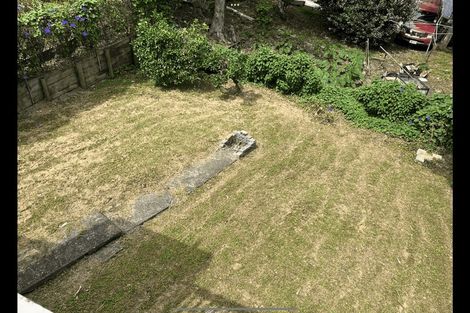 Photo of property in 28 Buchanan Street, Kingsland, Auckland, 1021