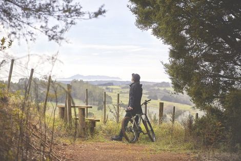 Photo of property in 36 Aroha Road, Te Arai, Wellsford, 0975