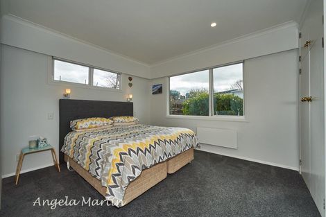 Photo of property in 19 Newcastle Street, Hokowhitu, Palmerston North, 4410