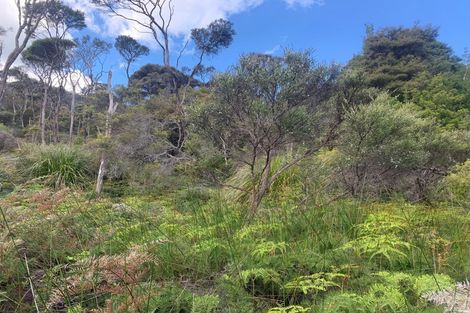 Photo of property in 238 Hillcrest Road, Wainui, 0931