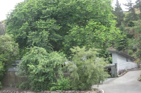 Photo of property in 319a Port Hills Road, Hillsborough, Christchurch, 8022