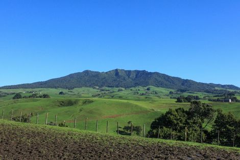 Photo of property in 58 Munns Road, Raglan, 3296