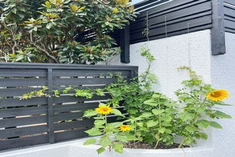 Photo of property in 191a Wilton Road, Wilton, Wellington, 6012