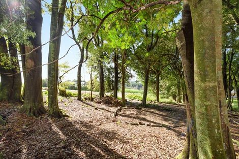 Photo of property in 939a No 2 Road, Te Ranga, Te Puke, 3182