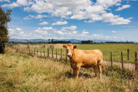 Photo of property in 1019 Rangitikei Line, Newbury, Palmerston North, 4475