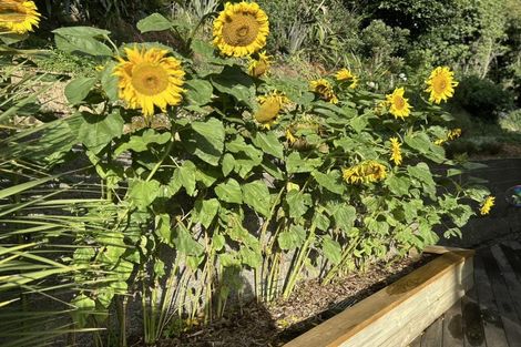 Photo of property in 16 Tully Street, Kilbirnie, Wellington, 6022