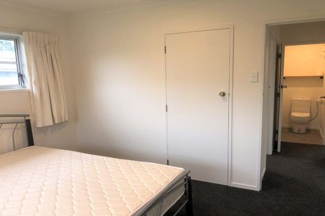 Photo of property in 97 Fitzroy Avenue, Fitzroy, Hamilton, 3206