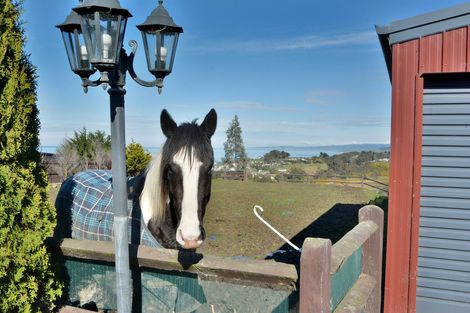 Photo of property in 73 Scroggs Hill Road, Brighton, Dunedin, 9035