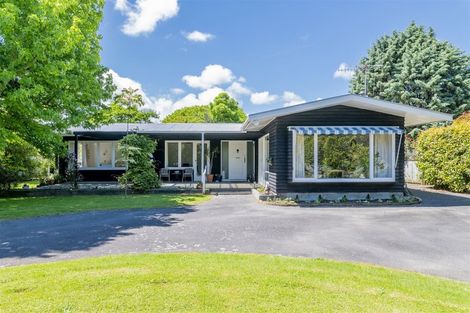 Photo of property in 61c Macarthur Street, Levin, 5510