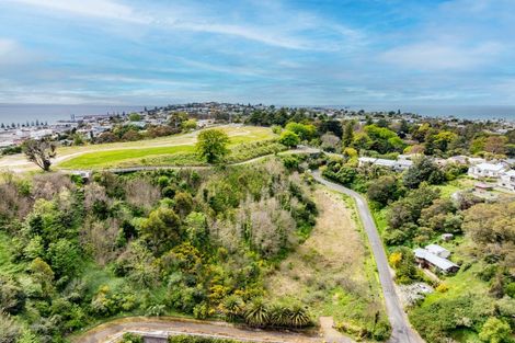 Photo of property in 36 Main Street, Hospital Hill, Napier, 4110