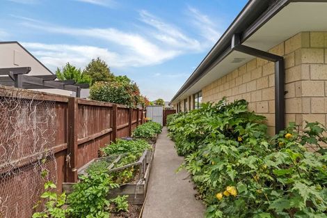 Photo of property in 3 Balmoral Lane, Rangiora, 7400