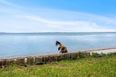 Photo of property in 63a Torkar Road, Clarks Beach, 2122