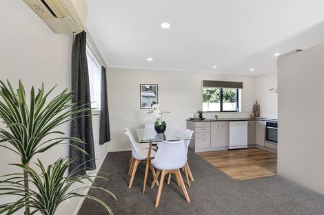 Photo of property in 20a Eton Street, Hampstead, Ashburton, 7700