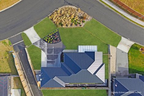 Photo of property in 61 Hilton Drive, Amberley, 7410