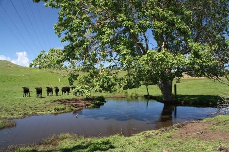 Photo of property in 549 Whiriwhiri Road, Otaua, Waiuku, 2682