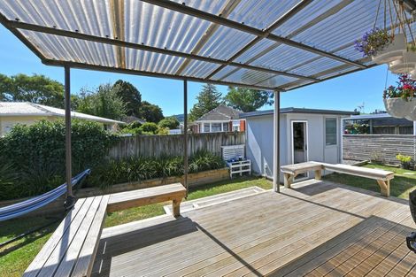 Photo of property in 28c Blenheim Street, Upper Hutt Central, Upper Hutt, 5018