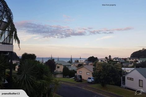 Photo of property in 212 Russell Bruce Place, Onemana, Whangamata, 3691
