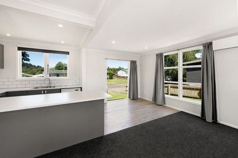 Photo of property in 45 Paekiri Street, Turangi, 3334