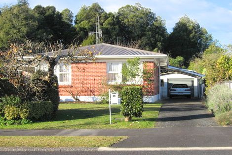 Photo of property in 53 Berkley Avenue, Hillcrest, Hamilton, 3216