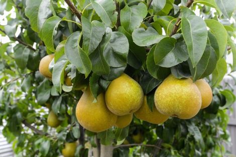 Photo of property in 708a Park Road South, Akina, Hastings, 4122