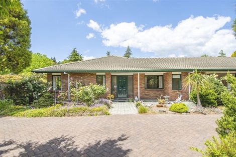 Photo of property in 15 Freeburn Road, Pyes Pa, Tauranga, 3112