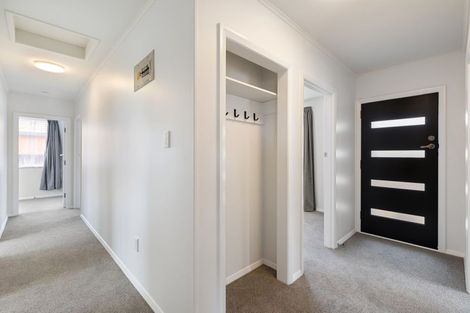 Photo of property in 58 Alexander Street, Awapuni, Palmerston North, 4412