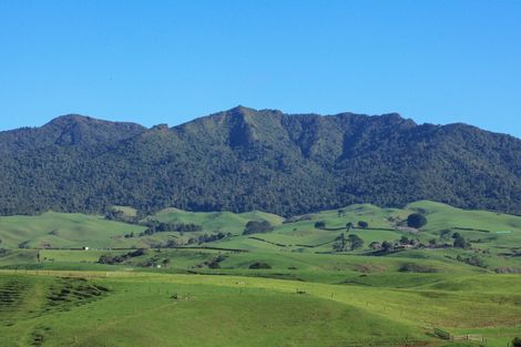 Photo of property in 58 Munns Road, Raglan, 3296