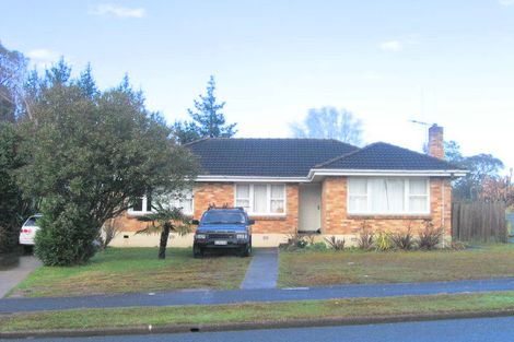 Photo of property in 81 Pine Avenue, Melville, Hamilton, 3206