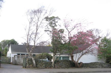 Photo of property in 255 Victoria Avenue, Hokowhitu, Palmerston North, 4410