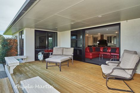 Photo of property in 1334 Napier Road, Ashhurst, 4810