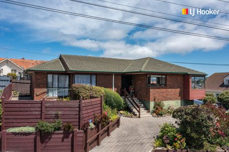 Photo of property in 60 Silverton Street, Andersons Bay, Dunedin, 9013