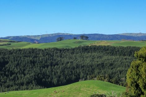 Photo of property in 58 Munns Road, Raglan, 3296