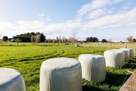 Photo of property in 62 Nga Tawa Road, Marton, 4787