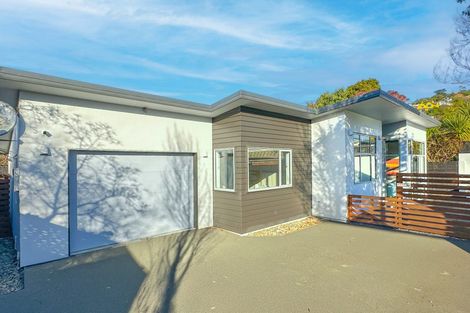 Photo of property in 16a Albert Street, Saint Clair, Dunedin, 9012