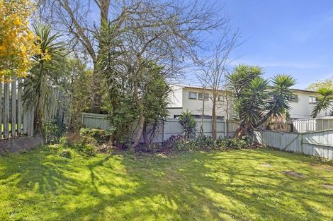 Photo of property in 3/53 Albert Street, Hamilton East, Hamilton, 3216