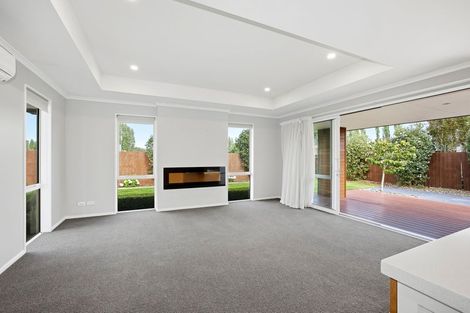 Photo of property in 117 Metehau Street, Marshland, Christchurch, 8083